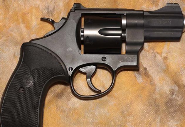 Smith Wesson Model 310 Night Guard