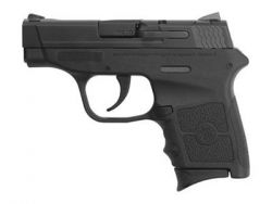 Smith Wesson Bodyguard 380