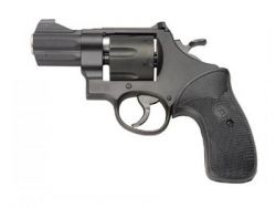 Smith Wesson Model 310 Night Guard